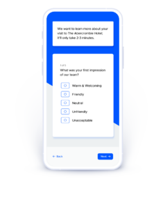 Reputation Management Microsurvey